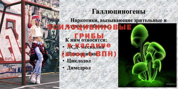 индика Абдулино