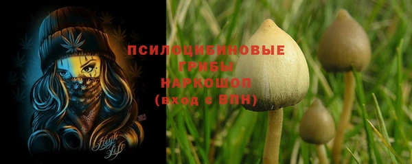 МДПВ Абинск