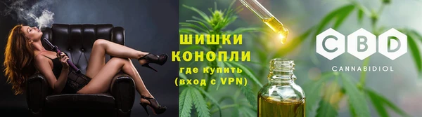 PSILOCYBIN Россошь