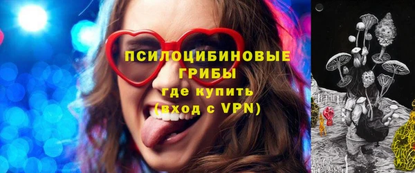 PSILOCYBIN Россошь